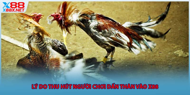 Lý do thu hút người chơi dấn thân vào X88